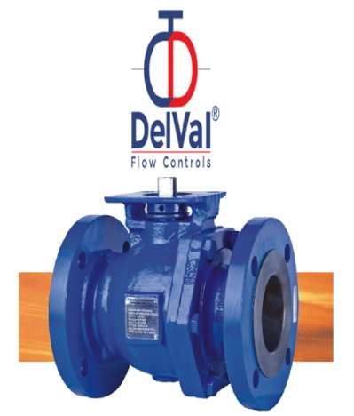 Delval Ball Valves In Upper Dibang Valley